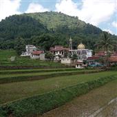 vận 