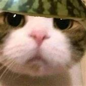 Lị