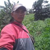 Bảng
