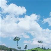 Chơi