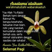 Xem 