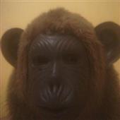 Ngũ 