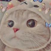 Ngộ 