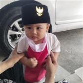 Gi