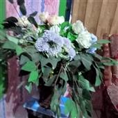 Bảng