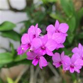 Thợ 