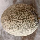 Al