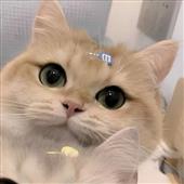 Bi đ