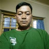 Cược