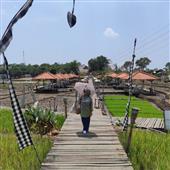 Sự