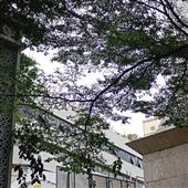 Lịch