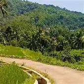 Cửa