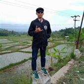 Bóng