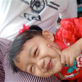 Cung