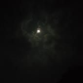 Ngườ