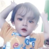 Tài 