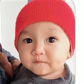 Sự T