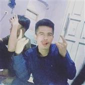 Gi