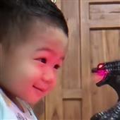 Bầ