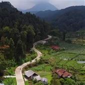Lờ