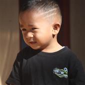 Giới