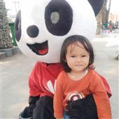Bầu 