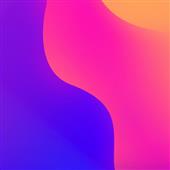 Dy