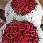 Thượ