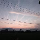 Se