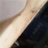Bl