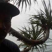 Dự