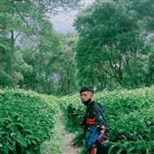 Tướn