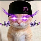 Wh