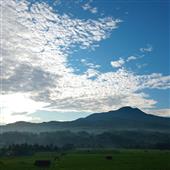 Bó