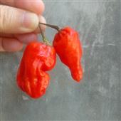 Mẹ