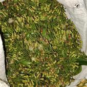 Tỷ