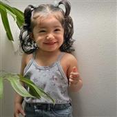หมูผ