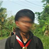 Bó