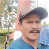 Bả