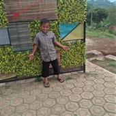 Đấu