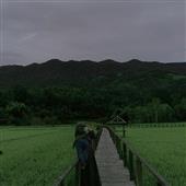 Cỏ