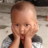 Trực