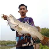 tiệc