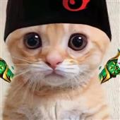 Cách