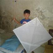 Dự