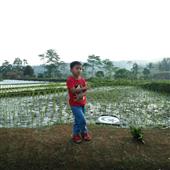Sòng