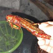 Mê