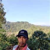 Chơi
