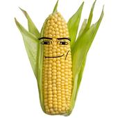 Cá