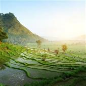 Bảng
